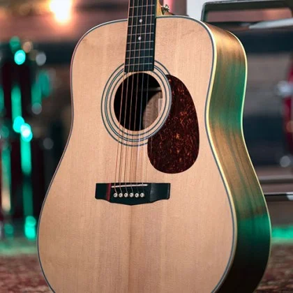 Cort Earth 70 (Brown) Cort Earth 70 (Brown)
