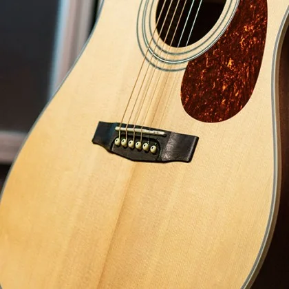 Cort Earth 70 (Brown) Cort Earth 70 (Brown)