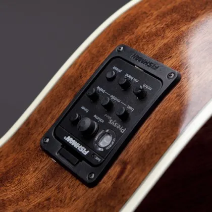 Fishman Presys Blend