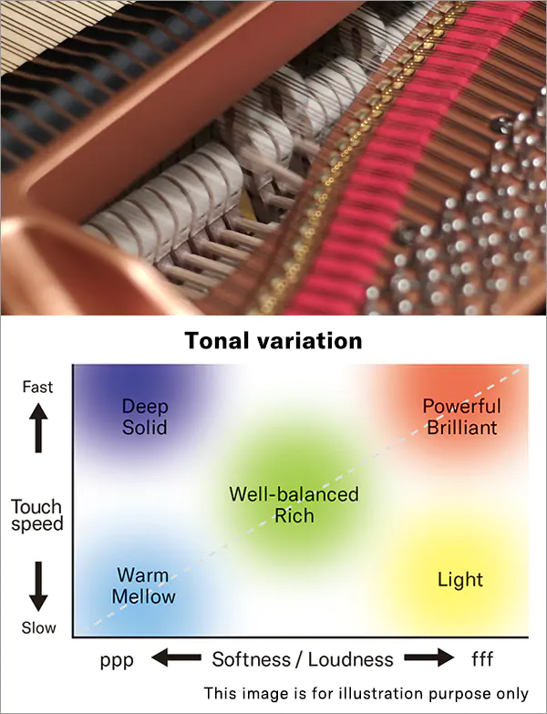 Grand Expression Modeling