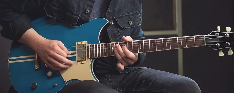 YAMAHA REVSTAR PROFESSIONAL