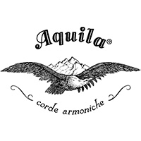Aquila