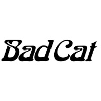Bad Cat