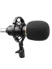 Мікрофон HL Audio BM-800