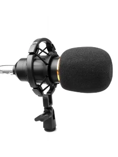 HL Audio BM-800