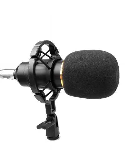 Мікрофон HL Audio BM-800
