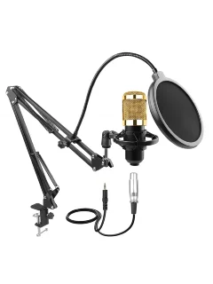 HL Audio BM-800