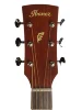 Електро-акустична гітара Ibanez PC12MHCE OPN