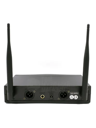 Радіосистема HL Audio DG-2000