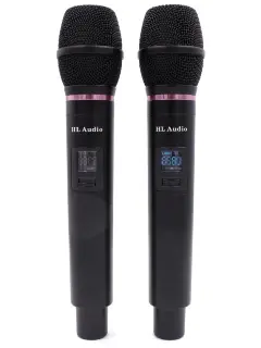 HL Audio DG-2000