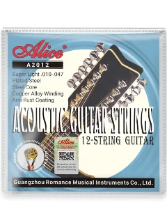 Alice A2012 12-strings 10-47