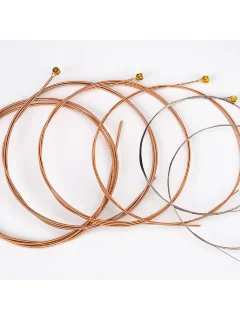 Alice A2012 12-strings 10-47