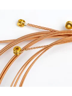 Alice A2012 12-strings 10-47