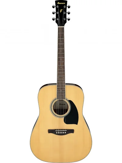 Акустична гітара Ibanez PF15-NT