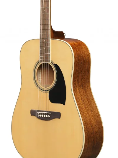 Акустична гітара Ibanez PF15-NT
