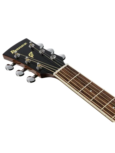 Акустична гітара Ibanez PF15-NT