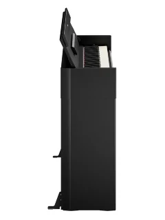 Yamaha Arius YDP-S56 (Black)