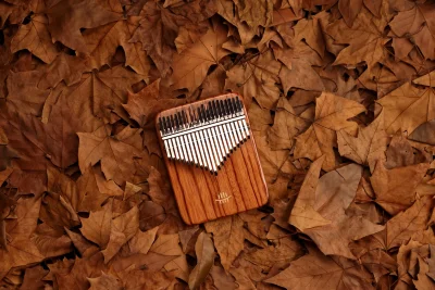 Калімба Hluru KY21 Red Rosewood