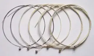 Maxtone FAGS/SET Acoustic (11-49)