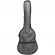Чехол MusicBag HA-CG39A GR (без утеплителя) Чехол MusicBag HA-CG39A GR (без утеплителя)