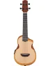 Електроакустичне укулеле Ibanez AUC10E OPN