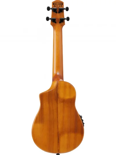 Електроакустичне укулеле Ibanez AUC10E OPN