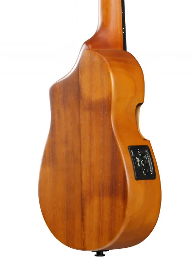 Електроакустичне укулеле Ibanez AUC10E OPN