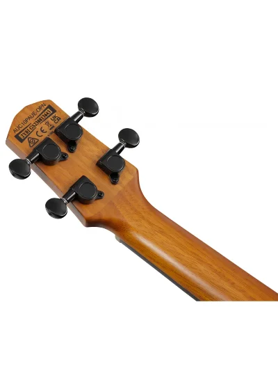 Електроакустичне укулеле Ibanez AUC10E OPN