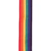Ремінь для гітари D'Addario PWS111 Polypro Guitar Strap (Rainbow)