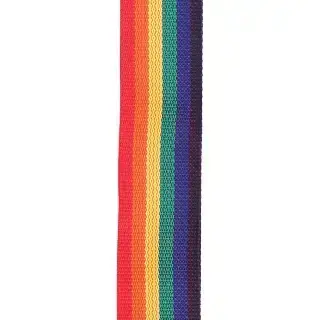 D'Addario PWS111 Polypro Guitar Strap (Rainbow)