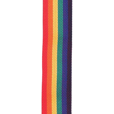 Ремінь для гітари D'Addario PWS111 Polypro Guitar Strap (Rainbow)