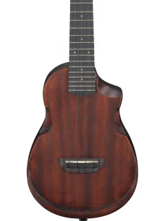 Ibanez AUC14 OVL