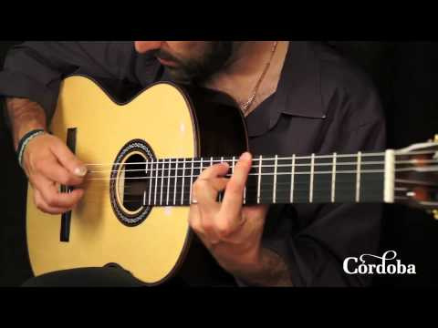 Класична гітара Класична гітара Cordoba C10 C10 SP