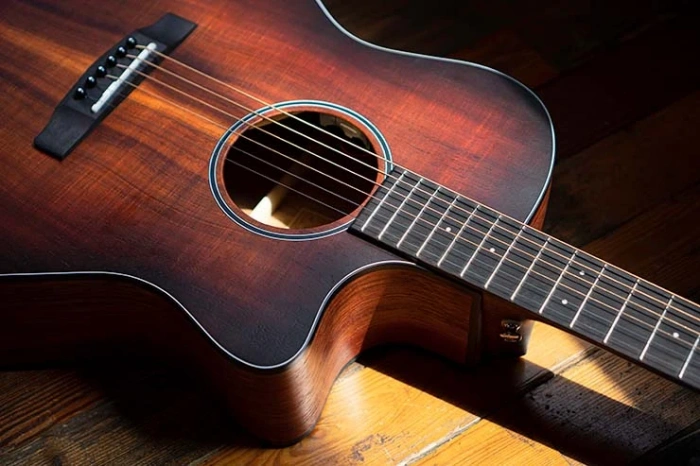 Електро-акустична гітара Електро-акустична гітара Cort Core-GA Blackwood (Open Pore Light Burst) + чохол