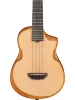 Укулеле Ibanez AUT10 OPN