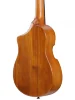 Укулеле Ibanez AUT10 OPN