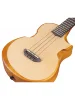 Укулеле Ibanez AUT10 OPN