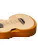 Укулеле Ibanez AUT10 OPN