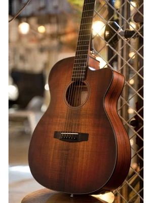 Cort Core-OC Blackwood (Open Pore Light Burst)