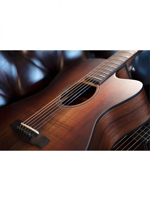 Електро-акустична гітара Електро-акустична гітара Cort Core-OC Blackwood (Open Pore Light Burst)