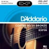 Струни D'Addario EXP36 EXP Coated 80/20 Bronze Light 12-String 10-47