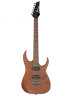 Електрогітара Ibanez RG421 MOL