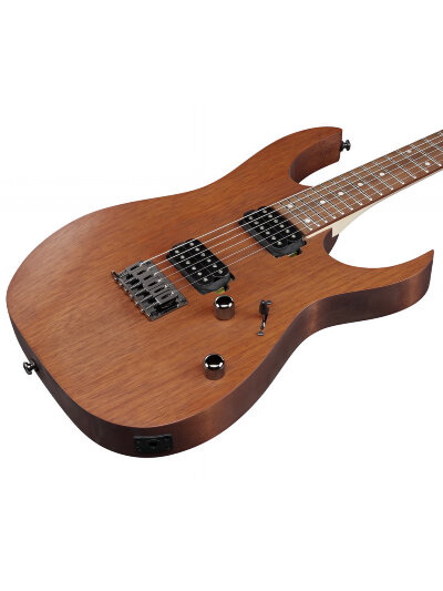 Електрогітара Ibanez RG421 MOL