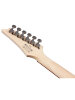 Електрогітара Ibanez RG421 MOL
