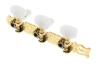 Кілки Gotoh 35G450 SG