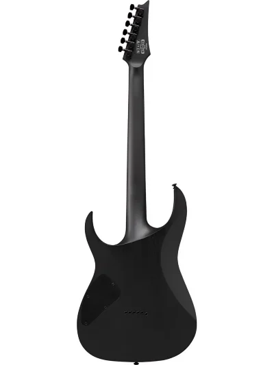 Електрогітара Ibanez RGRT421 WK
