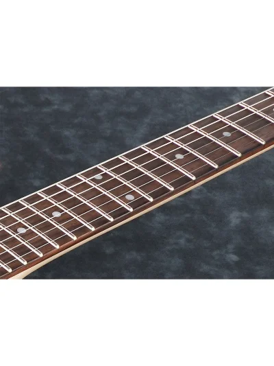 Електрогітара Ibanez RGRT421 WK