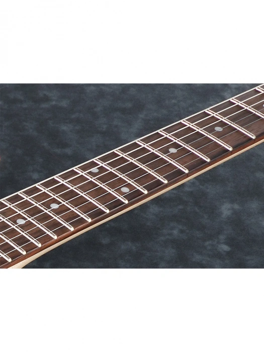 Електрогітара Електрогітара Ibanez RGRT421 WK
