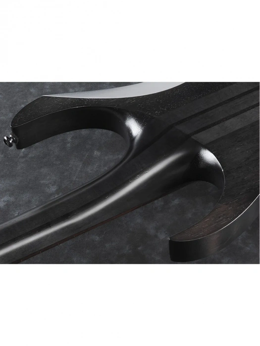 Електрогітара Електрогітара Ibanez RGRT421 WK