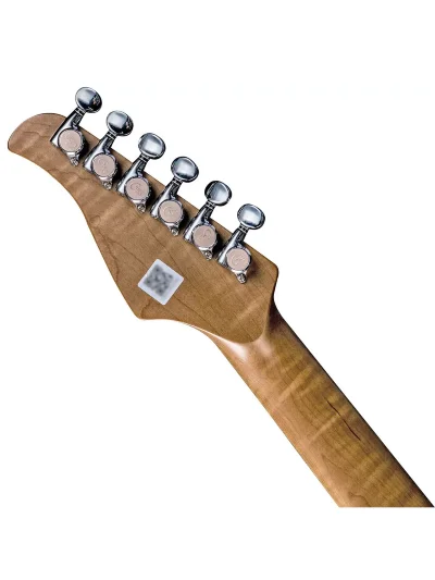 Електрогітара Mooer GTRS Professional P801 (Dark Night)